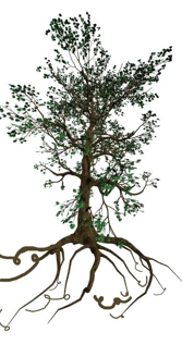 Workshop: Zeit für mich - Wohlfühlwege entdecken